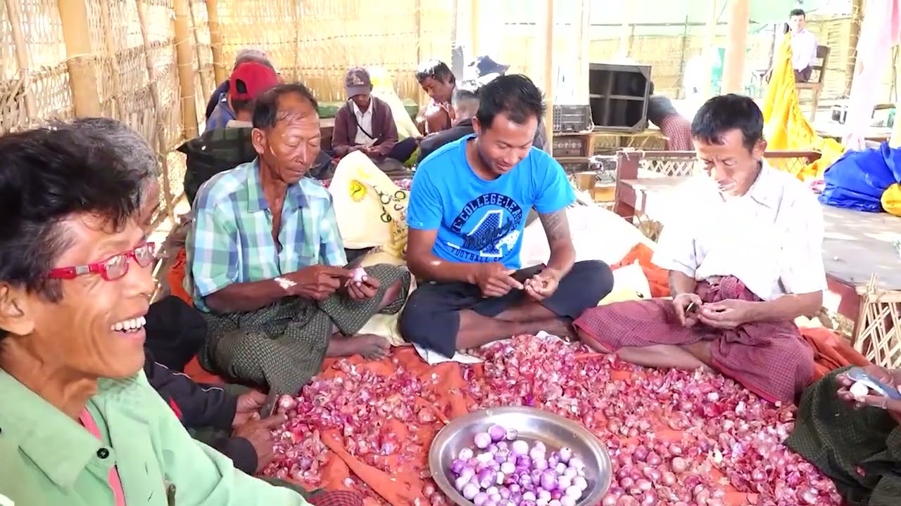 အလှူ့ဒါယကာ ဦး​ကျော်ညွန့်  + အလှူ့ဒါယိကာမဒေါ်အေးပို မိသားစု တို့၏ ရှင်ပြု ၊ နားသအလှူတော်မင်္ဂလာ