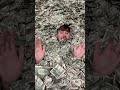 I Filled A Swimming Pool With Money!