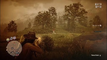 Red Dead Redemption 2 Gameplay player has scripts Lag switch and booting me offline