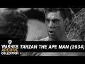 Clip Tarzan The Ape Man Warner Archive