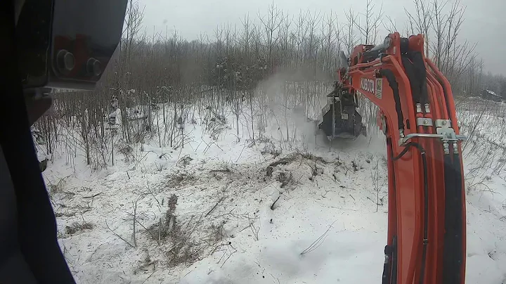 Clearing the scrub along the trail with the Kubota...