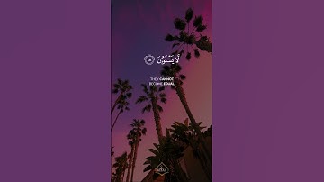 سورة السجدة | شريف مصطفى