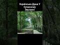 Баламут Стежечко Моя Українська сучасна музика 