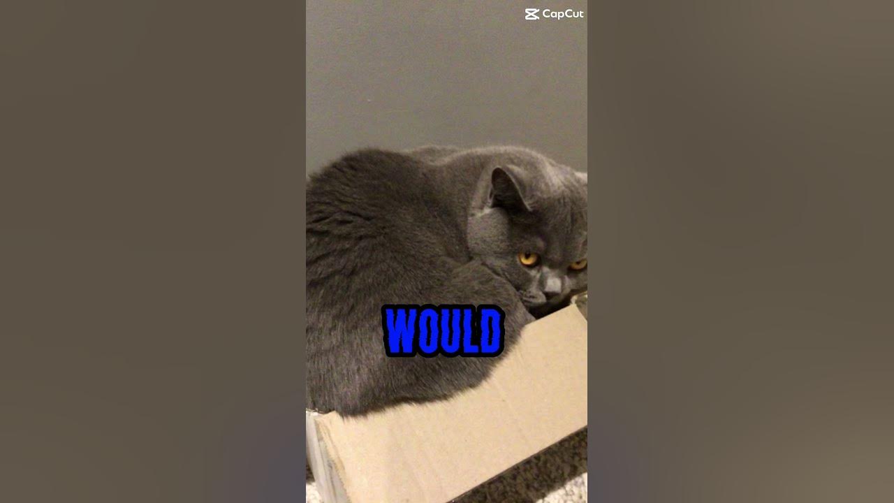 Why would you eat the wrapper youtube