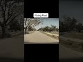 Tesla Dashcam clips that get more random as the video progresses