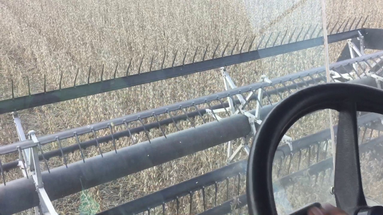 Combining soybeans in our Gleaner R62 in 2016