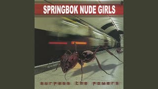 Video thumbnail of "Springbok Nude Girls - Giant Love Affair"