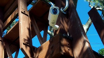 Review: Baseus S1 2K solar tracking security camera $100