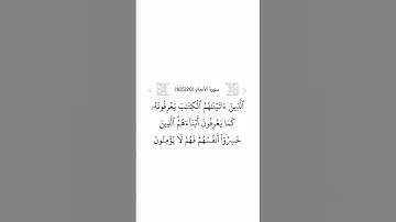 سورة الأنعام ٢٠