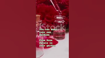 Make your own Perfume at Home #shorts #viralshorts #perfume #fragrance #essentialoils  #aroma