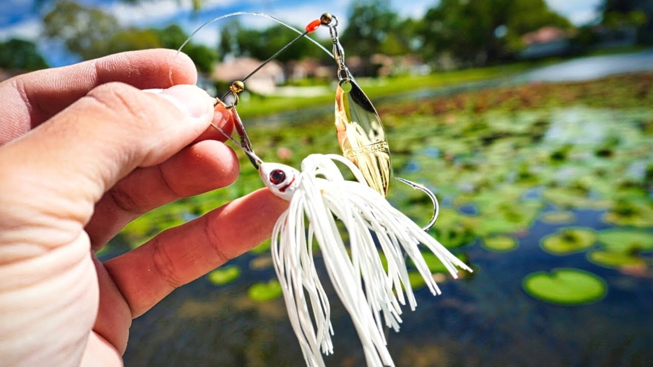 Florida Bass Fishing in a Small Neighborhood Pond 