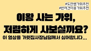 ✂️도만쌤이 추천하는 내돈내산 가위들ㅣ너무나 비싼 가위... 정가에 구매 하실 건가요?