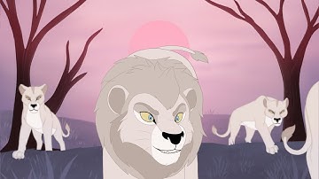 Bye-Bye 2D Reanimated MAP [23]