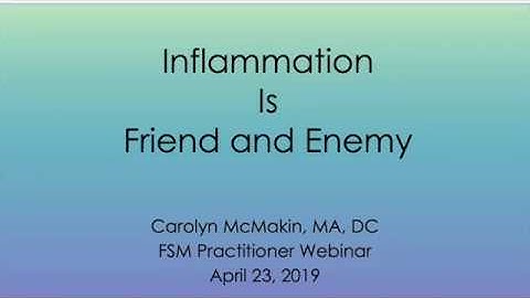 2019 April Webinar   Inflammation Is Friend and Enemy