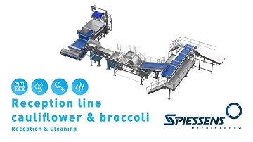 Reception line Cauliflower & Broccoli (Washing) I Spiessens
