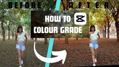 How To Colour Grading In Capcut : For Biggners Full Tutorial