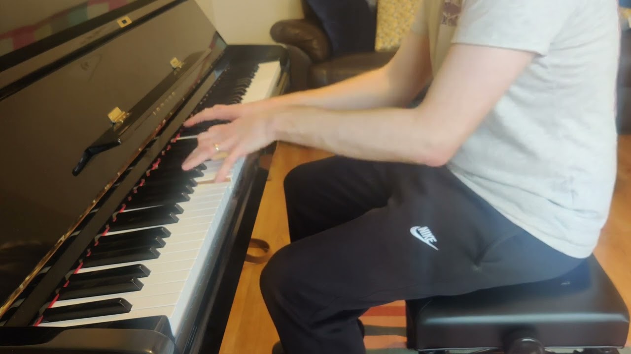 Arctic Monkeys - The Hellcat Spangled Shalalala (Piano Cover)