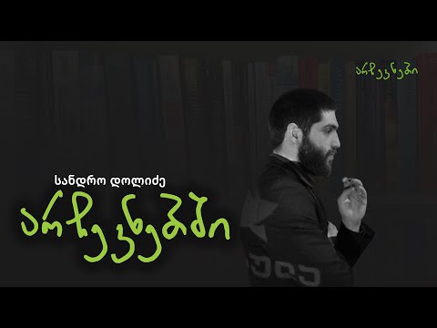 სანდრო დოლიძე არჩევნებში - ეპიზოდი N23