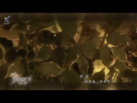 新世紀布袋戲-域界之初第二片尾MV