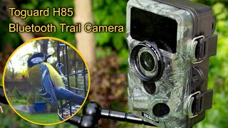 Bird Feeder Camera Setup - Toguard H85 Bluetooth Trail Camera (Actual Video Footage 🦜) screenshot 2