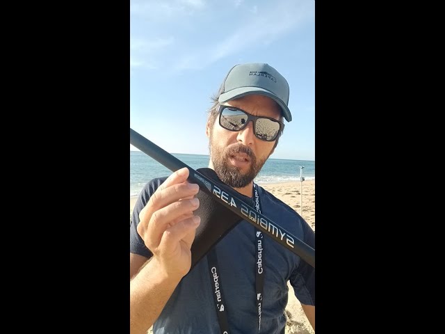 Caña Pesca Surfcasting Symbios-900 4,35 m 100-250 g Black Edition