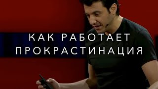 ЧТО В ГОЛОВЕ У ПРОКРАСТИНАТОРА! ТИМ УРБАН! ЛЕНЬ И ПРОКРАСТИНАЦИЯ!