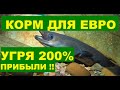 КОРМ ДЛЯ ЕВРО УГРЯ 200% ПРИБЫЛИ