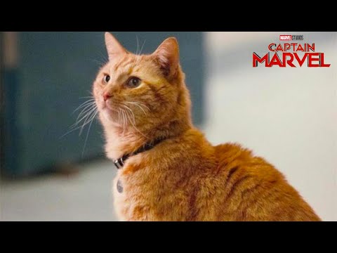 Captain Marvel Chat Goose