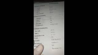 كيفية قراءة تحليل البول urine analysis