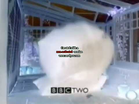 Bbc Two Pump