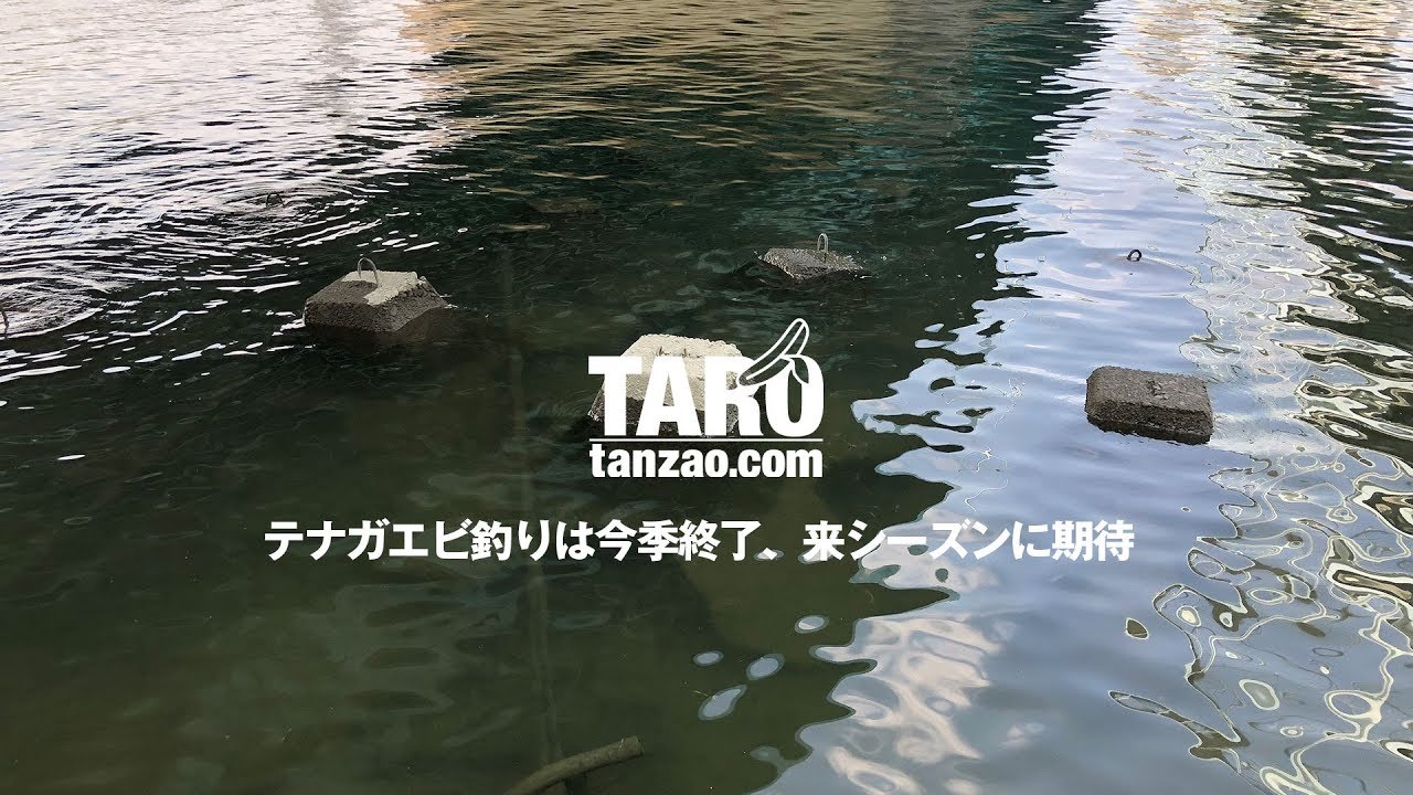 独りごと 短竿釣り師の独り言 黒鯛 ヘチ釣り 落とし込み50