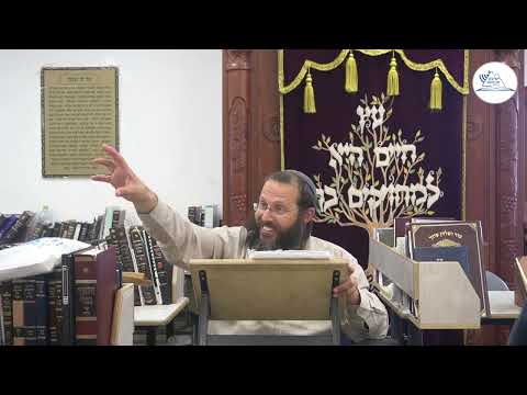 התבגרות פרשת חוקת הרב דוד אמתי 