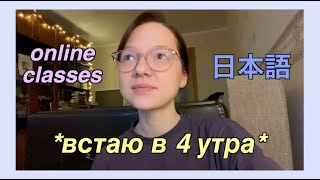 учусь по японскому времени//первые дни онлайн-пар