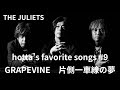 hotta's favorite songs #9 "片側一車線の夢 - GRAPEVINE COVER"