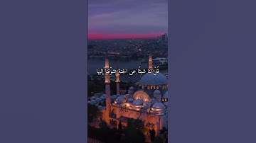 واتس اب قران كريم الشيخ سعدون حمادي