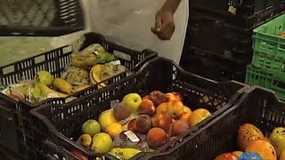 Tonnes Of Food Wasted In Sa While Millions Starve