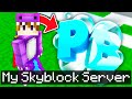 MY NEW MINECRAFT SKYBLOCK SERVER RELEASE! - PvPBubble Minecraft Skyblock