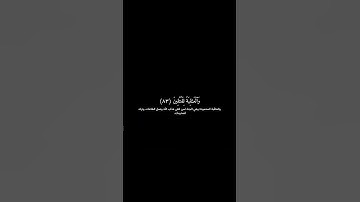 ماهر المعيقلي | كروما شاشة سوداء قرآن كريم | تلاوة من سورة القصص