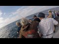 Searcher sportfishing