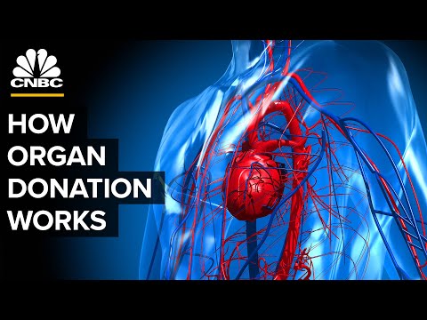 Video: Kommer organon att handlas till börs?