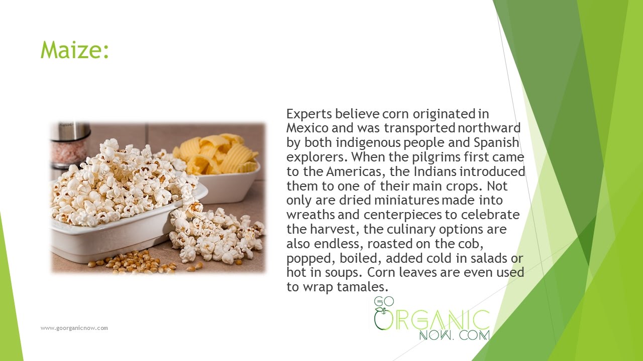 Health Benefits of Maize YouTube