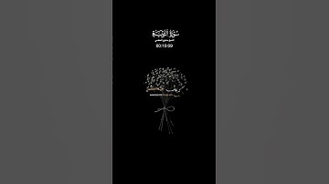 #قران_كريم#سورة_التوبة#مشاري_العفاسي