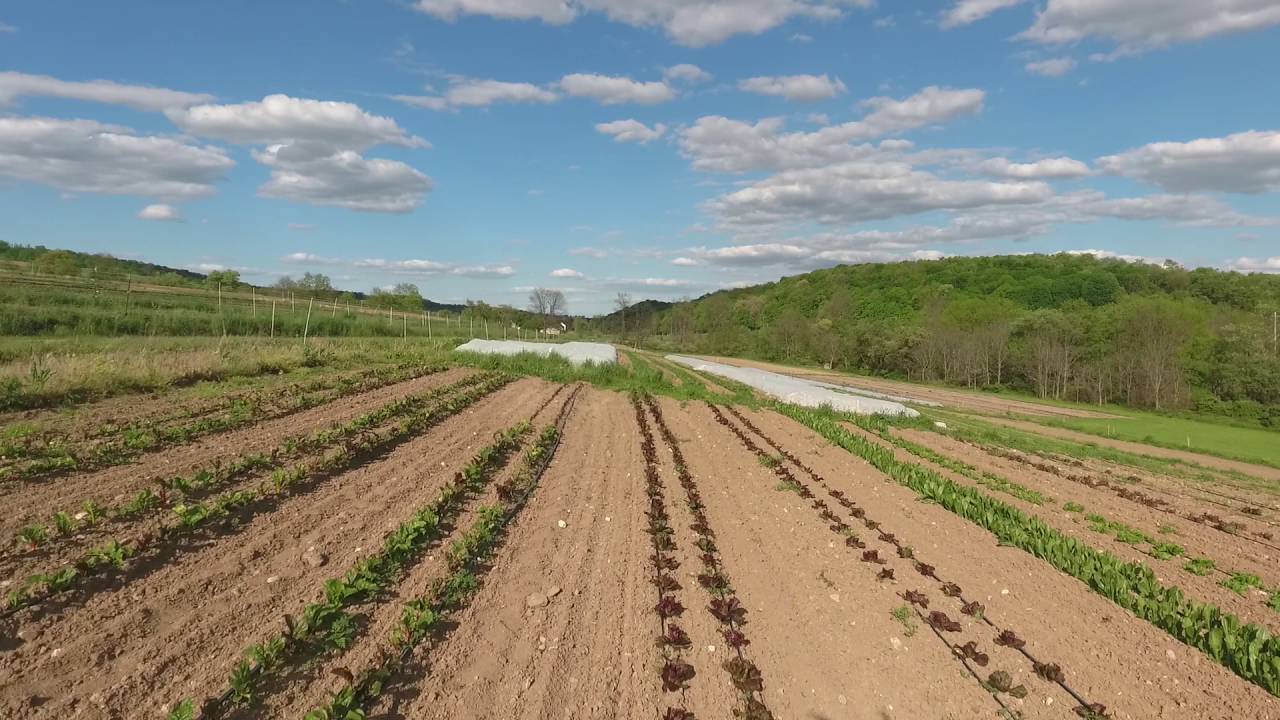 Red Earth Farm May 2016 YouTube