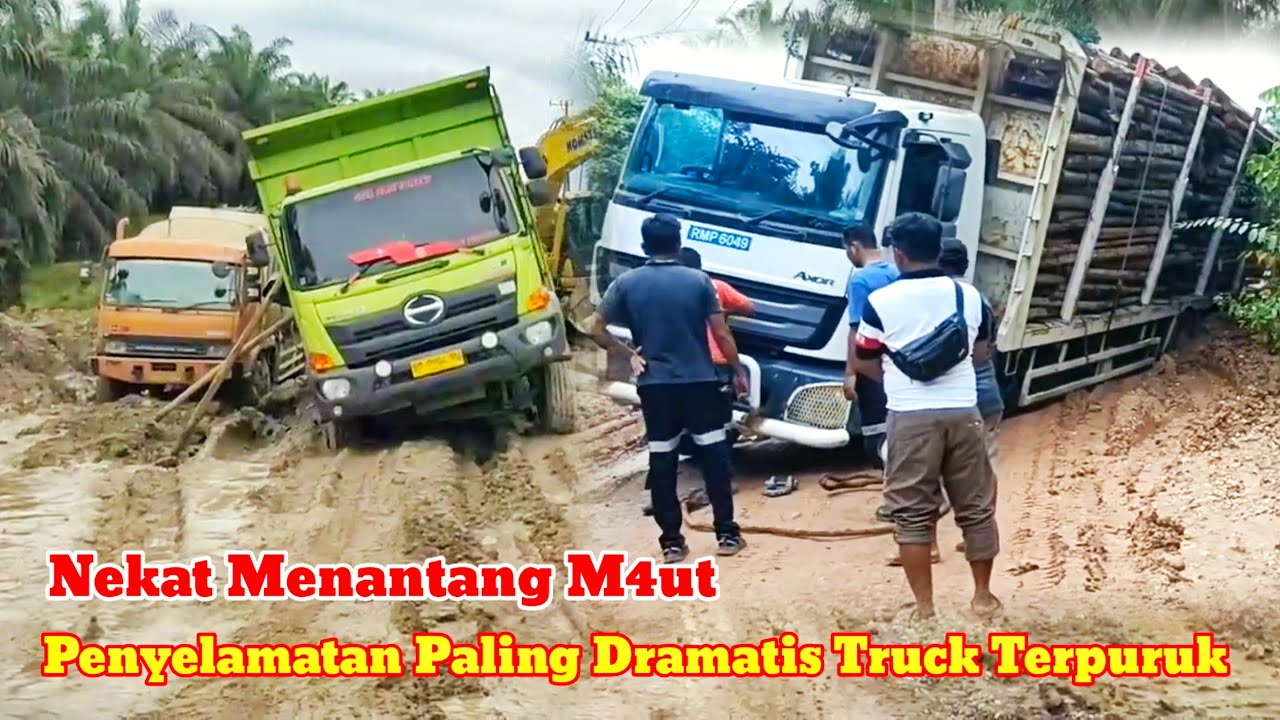 Truck Hino M3n4nt4ng M4UT | Mercy Axor Butuh Banyak Alat Berat Untuk Lepas Dari Jeratan Lumpur 