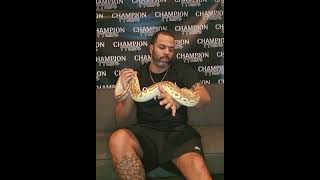 Python Handling 101 #snakehandling #snaketraining #ballpythons #ballpythonsnake