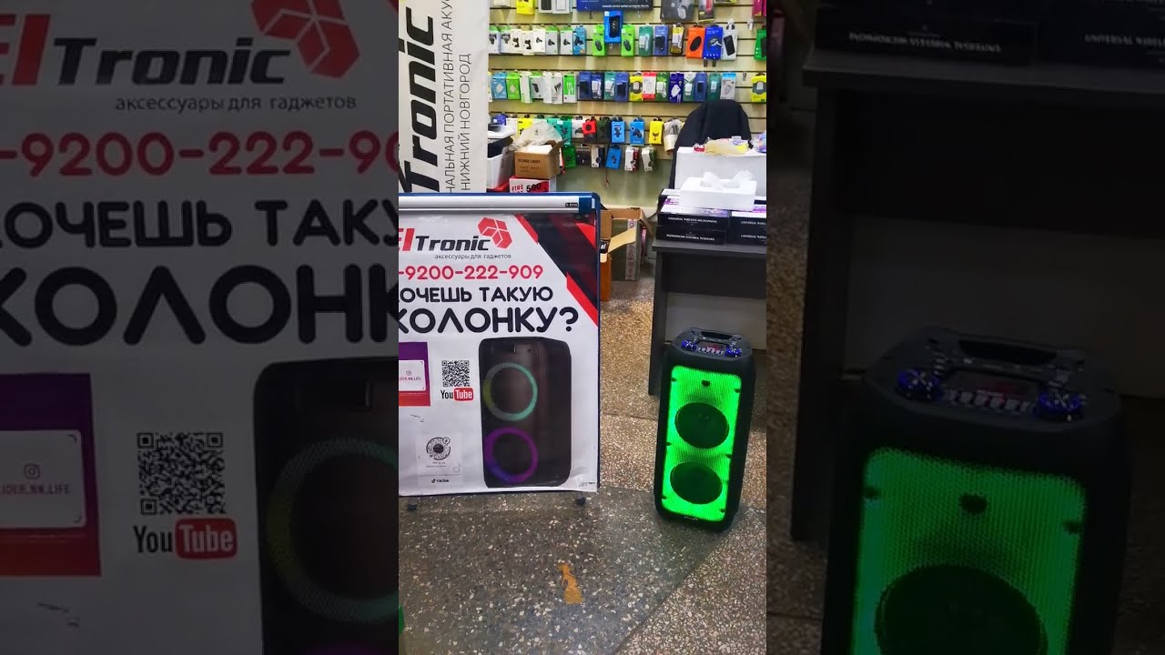 Купить Колонку Eltronic 20 53