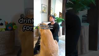 Celebrity Marley gives Gary a slap!😁 Net Worth