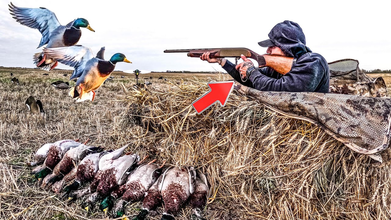 LEVER ACTION 12 GAUGE DUCK HUNT! (Limited Out)