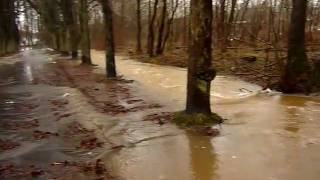 Überschwemmungen am 13.1.11 in Herschbach (Uww) Teil 2