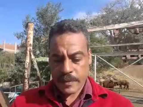 محمد سليمان مدير مكتب اليوم السابع بكفر الشيخ بعبارة محلة دياي بدسوق العبارة ومرور عامين دون تشغيل